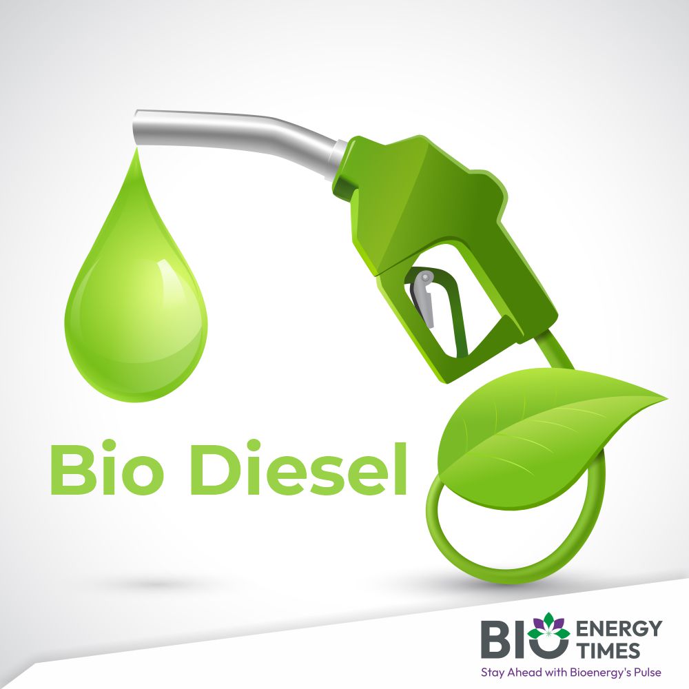 Biodiesel Supply