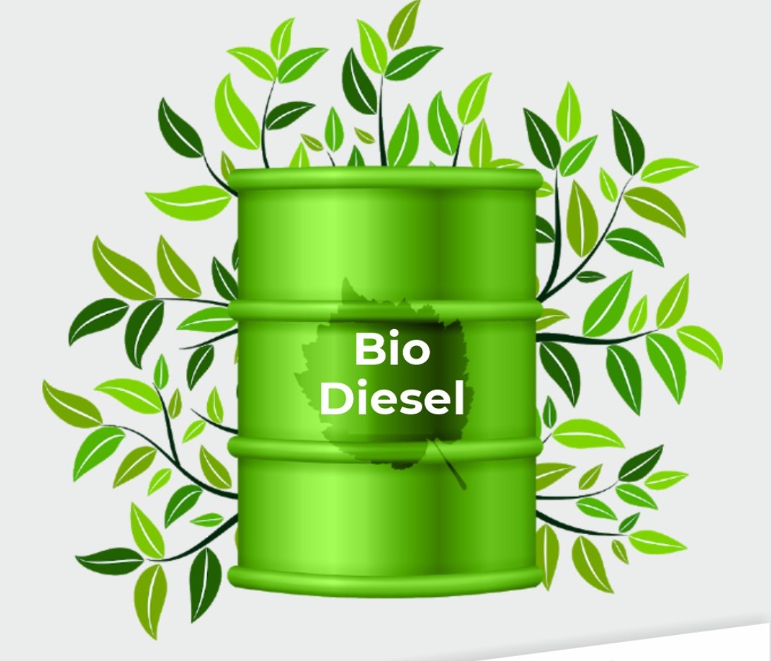 Biodiesel Supply