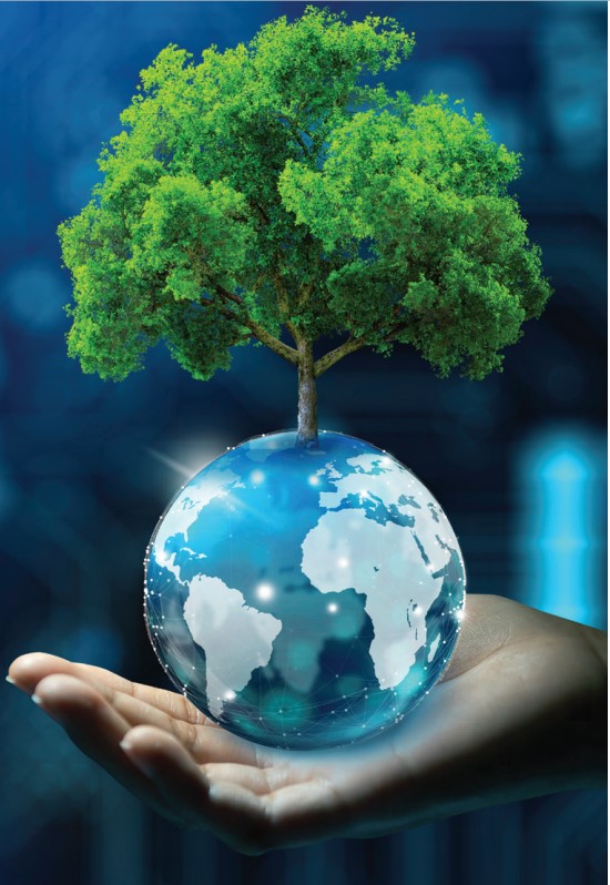 Renewable Energy Project