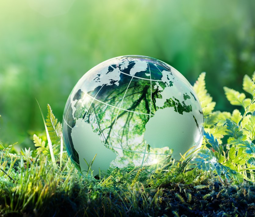 Sustainability Consulting